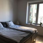 sovrum med matta och naturligt ljus