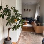 Hyr ett 1-rums lägenhet på 36 m² i Solna
