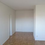 empty room featuring hardwood flooring