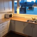kök med parkettgolv, naturligt ljus, mikrovågsugn, lätta bänkskivor, taklampa, vita skåp, och mörkt golv