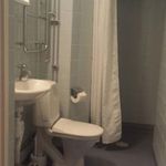 badrum med klinkergolv, toalett, handfat, och duschridå