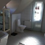 Rent 5 rooms house of 155 m², in Hedlandet
