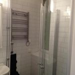 badrum med radiator, spegel, dusch, och handfat
