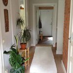 corridor with hardwood flooring