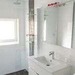 bathroom featuring natural light, vanity, and mirror