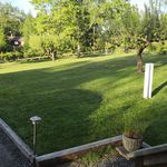 view of nature with a large lawn