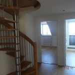 stairway with a healthy amount of sunlight, hardwood floors, and radiator