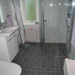 badrum med naturligt ljus, klinkergolv, radiator, toalett, sminkbord, dusch, och dubbel handfat