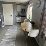 Rent 1 rooms house of 24 m², in Uppsala