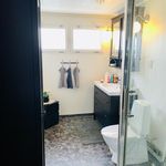 badrum med naturligt ljus, klinkergolv, toalett, sminkbord, duschdörr, och handfat