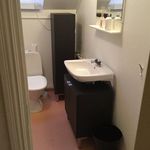 badrum med matta, toalett, spegel, sminkbord, och handfat