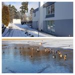 Hyr ett 2-rums hus på 80 m² i Hässelby
