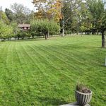 view of backyard featuring an expansive lawn