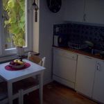 kök med parkettgolv, naturligt ljus, diskmaskin, mörka bänkskivor, vita skåp, och mörkt golv