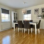 dining room with plenty of natural light, hardwood floors, and radiator