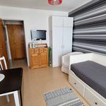 Rent 1 rooms apartment of 14 m², in Vilhelmina