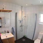 badrum med dusch, toalett, sminkbord, handfat, och duschdörr