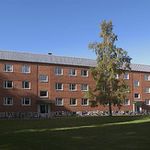 Rent 2 rooms apartment of 45 m², in Umeå