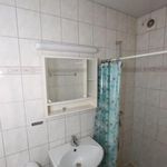 badrum med klinkergolv, duschridå, dusch, handfat, toalett, och spegel
