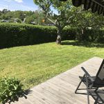 view of backyard featuring a deck and an expansive lawn
