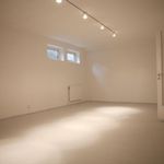 tomt rum med matta, naturligt ljus, och radiator