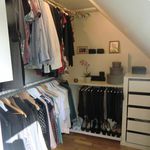 walk in closet / pantry featuring hardwood floors and vaulted ceiling