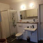 badrum med spegel, dusch, handfat, och toalett