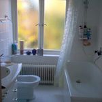 badrum med naturligt ljus, radiator, och kombinerat bad / dusch