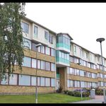 Hyr ett 1-rums studentbostad på 20 m² i Linköping