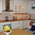 kök med rostfritt stå, köksfläkt, elektrisk spishäll, vita skåp, lätta bänkskivor, och lätt golv