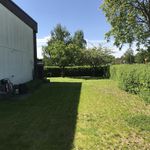 view of backyard with a large lawn