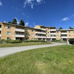 Rent 1 rooms apartment of 43 m², in Skellefteå