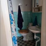 bathroom with shower curtain, toilet, and washbasin