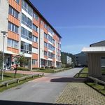 Rent 1 rooms apartment of 47 m², in Vilhelmina