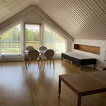 Hyr ett 1-rums lägenhet på 65 m² i Falkenberg