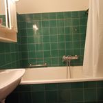 badrum med duschridå, kombinerat bad / dusch, spegel, och handfat