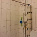 badrum med kombinerat bad / dusch och toalett