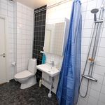 badrum med duschridå, spegel, toalett, och handfat
