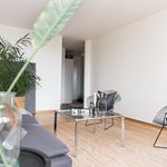 Hyr ett 1-rums lägenhet på 43 m² i Höganäs