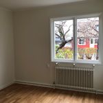 spare room featuring a wealth of natural light, hardwood flooring, and radiator