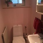 badrum med naturligt ljus, radiator, handfat, och toalett