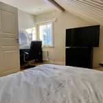 bedroom featuring natural light and TV