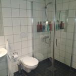 badrum med klinkergolv, spegel, dusch, handfat, och toalett