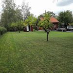 view of backyard featuring a large lawn