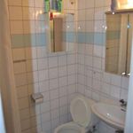 badrum med klinkergolv, toalett, spegel, och handfat