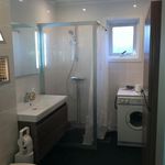 badrum med naturligt ljus, bricka / torktumlare, spegel, dusch, toalett, sminkbord, och dubbel handfat